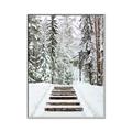Picture of Winter's Kiss _GroupedProduct_Rectangle_Portrait_Photography _GroupedProduct_Rectangle_Portrait_Canvas_Framed_