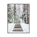 Picture of Winter's Kiss _GroupedProduct_Rectangle_Portrait_Photography _GroupedProduct_Rectangle_Portrait_Canvas_Framed_