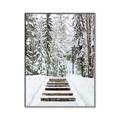 Picture of Winter's Kiss _GroupedProduct_Rectangle_Portrait_Photography _GroupedProduct_Rectangle_Portrait_Canvas_Framed_