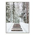 Picture of Winter's Kiss _GroupedProduct_Rectangle_Portrait_Photography _GroupedProduct_Rectangle_Portrait_Canvas_Framed_