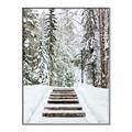 Picture of Winter's Kiss _GroupedProduct_Rectangle_Portrait_Photography _GroupedProduct_Rectangle_Portrait_Canvas_Framed_