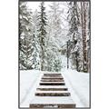 Picture of Winter's Kiss _GroupedProduct_Rectangle_Portrait_Photography _GroupedProduct_Rectangle_Portrait_Canvas_Framed_