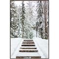 Picture of Winter's Kiss _GroupedProduct_Rectangle_Portrait_Photography _GroupedProduct_Rectangle_Portrait_Canvas_Framed_