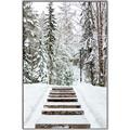 Picture of Winter's Kiss _GroupedProduct_Rectangle_Portrait_Photography _GroupedProduct_Rectangle_Portrait_Canvas_Framed_