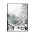 Picture of Snowy Bridge _GroupedProduct_Rectangle_Portrait_Photography _GroupedProduct_Rectangle_Portrait_Canvas_Framed_