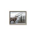 Picture of Staring Back _GroupedProduct_Rectangle_Landscape_Photography _GroupedProduct_Rectangle_Landscape_Canvas_Framed_