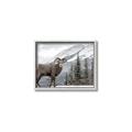 Picture of Staring Back _GroupedProduct_Rectangle_Landscape_Photography _GroupedProduct_Rectangle_Landscape_Canvas_Framed_