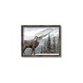 Picture of Staring Back _GroupedProduct_Rectangle_Landscape_Photography _GroupedProduct_Rectangle_Landscape_Canvas_Framed_