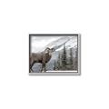 Picture of Staring Back _GroupedProduct_Rectangle_Landscape_Photography _GroupedProduct_Rectangle_Landscape_Canvas_Framed_