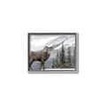 Picture of Staring Back _GroupedProduct_Rectangle_Landscape_Photography _GroupedProduct_Rectangle_Landscape_Canvas_Framed_