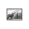 Picture of Staring Back _GroupedProduct_Rectangle_Landscape_Photography _GroupedProduct_Rectangle_Landscape_Canvas_Framed_