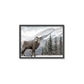 Picture of Staring Back _GroupedProduct_Rectangle_Landscape_Photography _GroupedProduct_Rectangle_Landscape_Canvas_Framed_