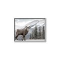 Picture of Staring Back _GroupedProduct_Rectangle_Landscape_Photography _GroupedProduct_Rectangle_Landscape_Canvas_Framed_
