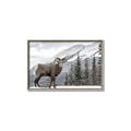 Picture of Staring Back _GroupedProduct_Rectangle_Landscape_Photography _GroupedProduct_Rectangle_Landscape_Canvas_Framed_