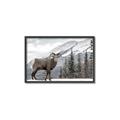Picture of Staring Back _GroupedProduct_Rectangle_Landscape_Photography _GroupedProduct_Rectangle_Landscape_Canvas_Framed_