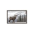 Picture of Staring Back _GroupedProduct_Rectangle_Landscape_Photography _GroupedProduct_Rectangle_Landscape_Canvas_Framed_
