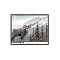 Picture of Staring Back _GroupedProduct_Rectangle_Landscape_Photography _GroupedProduct_Rectangle_Landscape_Canvas_Framed_