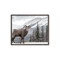 Picture of Staring Back _GroupedProduct_Rectangle_Landscape_Photography _GroupedProduct_Rectangle_Landscape_Canvas_Framed_