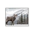 Picture of Staring Back _GroupedProduct_Rectangle_Landscape_Photography _GroupedProduct_Rectangle_Landscape_Canvas_Framed_