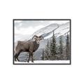 Picture of Staring Back _GroupedProduct_Rectangle_Landscape_Photography _GroupedProduct_Rectangle_Landscape_Canvas_Framed_
