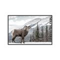 Picture of Staring Back _GroupedProduct_Rectangle_Landscape_Photography _GroupedProduct_Rectangle_Landscape_Canvas_Framed_