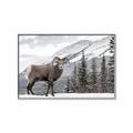 Picture of Staring Back _GroupedProduct_Rectangle_Landscape_Photography _GroupedProduct_Rectangle_Landscape_Canvas_Framed_