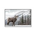 Picture of Staring Back _GroupedProduct_Rectangle_Landscape_Photography _GroupedProduct_Rectangle_Landscape_Canvas_Framed_