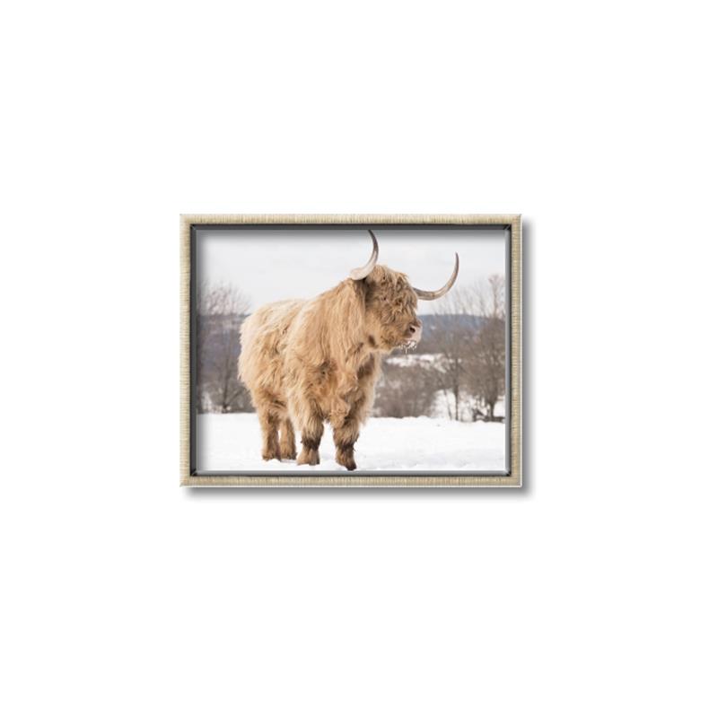 Picture of Fluffy Friend _GroupedProduct_Rectangle_Landscape_Photography _GroupedProduct_Rectangle_Landscape_Canvas_Framed_