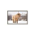 Picture of Fluffy Friend _GroupedProduct_Rectangle_Landscape_Photography _GroupedProduct_Rectangle_Landscape_Canvas_Framed_