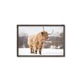 Picture of Fluffy Friend _GroupedProduct_Rectangle_Landscape_Photography _GroupedProduct_Rectangle_Landscape_Canvas_Framed_