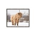 Picture of Fluffy Friend _GroupedProduct_Rectangle_Landscape_Photography _GroupedProduct_Rectangle_Landscape_Canvas_Framed_