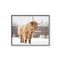 Picture of Fluffy Friend _GroupedProduct_Rectangle_Landscape_Photography _GroupedProduct_Rectangle_Landscape_Canvas_Framed_