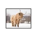 Picture of Fluffy Friend _GroupedProduct_Rectangle_Landscape_Photography _GroupedProduct_Rectangle_Landscape_Canvas_Framed_