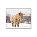 Picture of Fluffy Friend _GroupedProduct_Rectangle_Landscape_Photography _GroupedProduct_Rectangle_Landscape_Canvas_Framed_