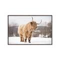 Picture of Fluffy Friend _GroupedProduct_Rectangle_Landscape_Photography _GroupedProduct_Rectangle_Landscape_Canvas_Framed_
