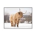 Picture of Fluffy Friend _GroupedProduct_Rectangle_Landscape_Photography _GroupedProduct_Rectangle_Landscape_Canvas_Framed_
