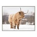 Picture of Fluffy Friend _GroupedProduct_Rectangle_Landscape_Photography _GroupedProduct_Rectangle_Landscape_Canvas_Framed_