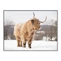 Picture of Fluffy Friend _GroupedProduct_Rectangle_Landscape_Photography _GroupedProduct_Rectangle_Landscape_Canvas_Framed_