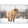 Picture of Fluffy Friend _GroupedProduct_Rectangle_Landscape_Photography _GroupedProduct_Rectangle_Landscape_Canvas_Framed_