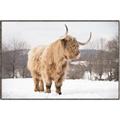 Picture of Fluffy Friend _GroupedProduct_Rectangle_Landscape_Photography _GroupedProduct_Rectangle_Landscape_Canvas_Framed_