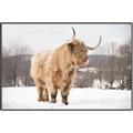 Picture of Fluffy Friend _GroupedProduct_Rectangle_Landscape_Photography _GroupedProduct_Rectangle_Landscape_Canvas_Framed_