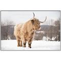 Picture of Fluffy Friend _GroupedProduct_Rectangle_Landscape_Photography _GroupedProduct_Rectangle_Landscape_Canvas_Framed_