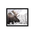 Picture of Elliot, the moose _GroupedProduct_Rectangle_Landscape_Photography _GroupedProduct_Rectangle_Landscape_Framed_Matted_