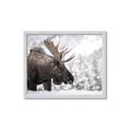 Picture of Elliot, the moose _GroupedProduct_Rectangle_Landscape_Photography _GroupedProduct_Rectangle_Landscape_Framed_Matted_