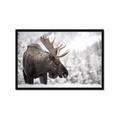 Picture of Elliot, the moose _GroupedProduct_Rectangle_Landscape_Photography _GroupedProduct_Rectangle_Landscape_Framed_Matted_
