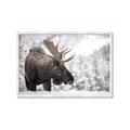 Picture of Elliot, the moose _GroupedProduct_Rectangle_Landscape_Photography _GroupedProduct_Rectangle_Landscape_Framed_Matted_