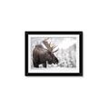 Picture of Elliot, the moose _GroupedProduct_Rectangle_Landscape_Photography _GroupedProduct_Rectangle_Landscape_Framed_Matted_