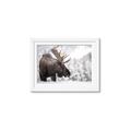 Picture of Elliot, the moose _GroupedProduct_Rectangle_Landscape_Photography _GroupedProduct_Rectangle_Landscape_Framed_Matted_