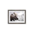 Picture of Elliot, the moose _GroupedProduct_Rectangle_Landscape_Photography _GroupedProduct_Rectangle_Landscape_Framed_Matted_