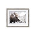 Picture of Elliot, the moose _GroupedProduct_Rectangle_Landscape_Photography _GroupedProduct_Rectangle_Landscape_Framed_Matted_